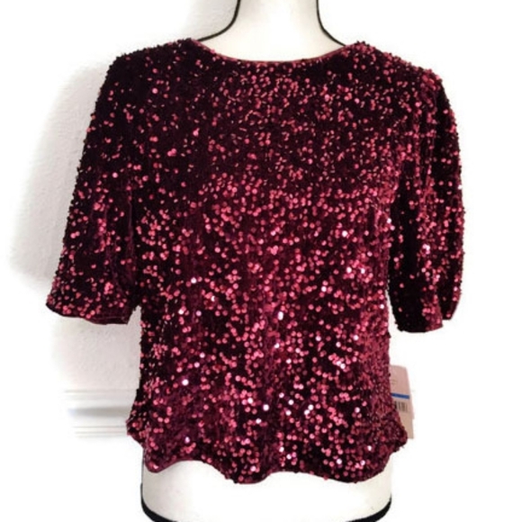 Nanette Lepore Tops - Nanette Lepore Beautiful Red Ruby Velvet Sequined Holiday Event Top Size XL